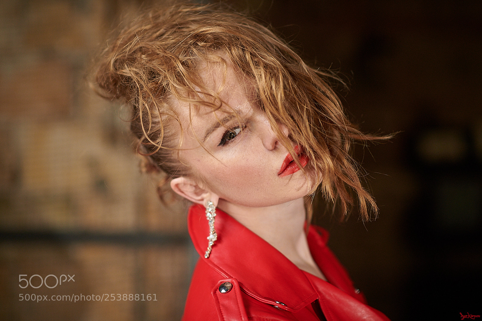 Nikon D850 sample photo. Bright red photography
