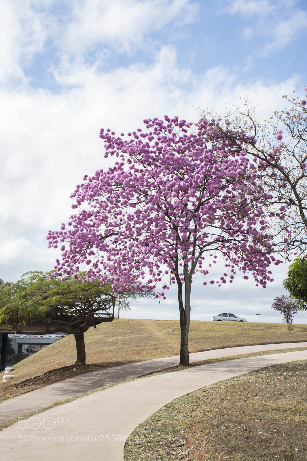 Nikon D7100 sample photo. A beleza da natureza... photography