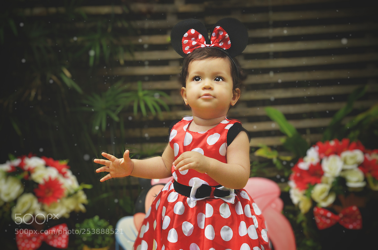 Nikon D7000 sample photo. Untitled photography