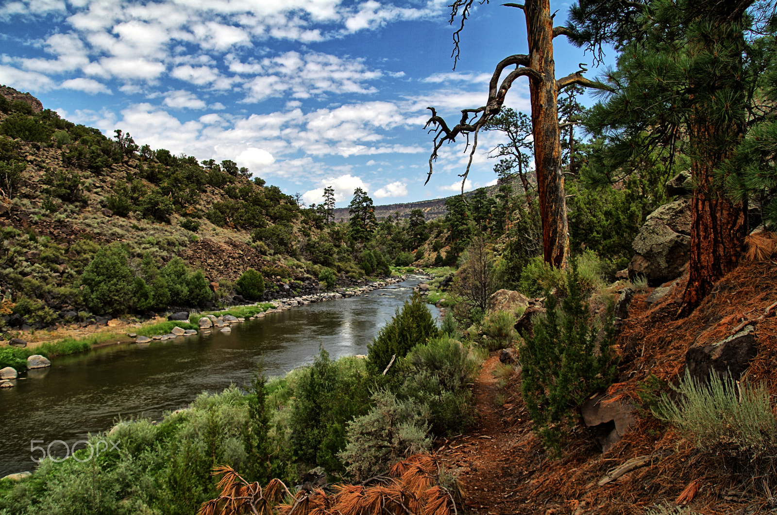Canon EOS 7D + Tamron SP AF 17-50mm F2.8 XR Di II LD Aspherical (IF) sample photo. Questa river area new mexico photography