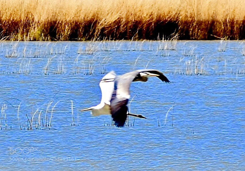 Nikon D7000 sample photo. Hoooooopss opposit side is photography