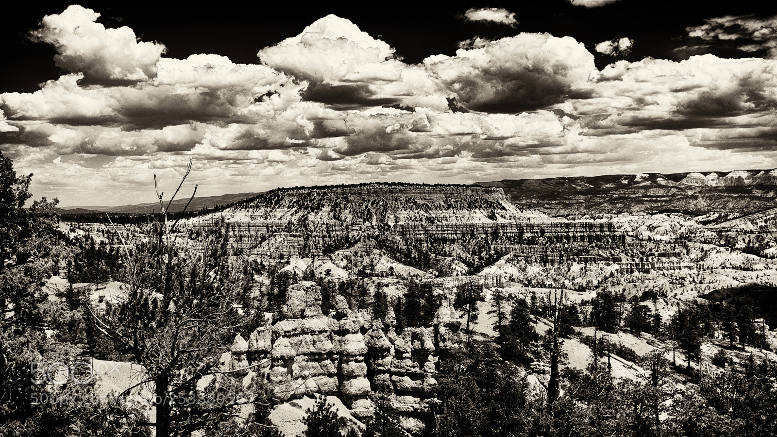 Fujifilm X100S sample photo. Overlooking bryce photography
