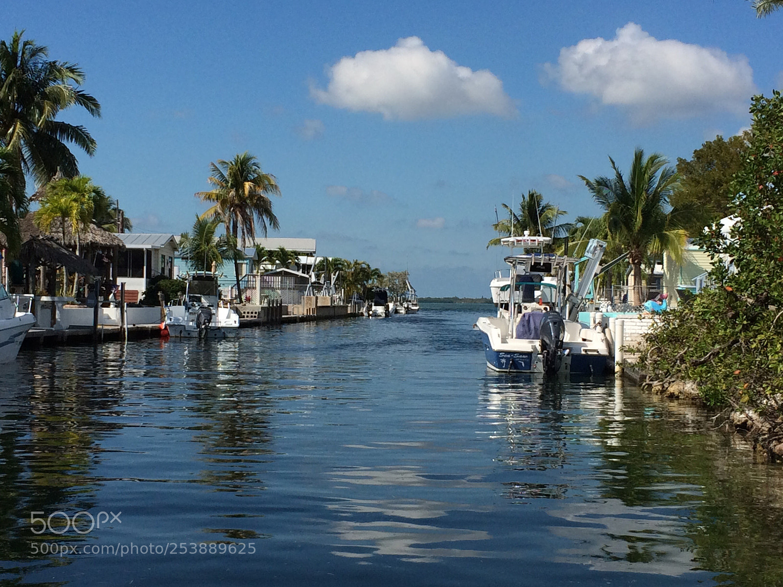 Apple iPhone 5s sample photo. Canal in the florida photography