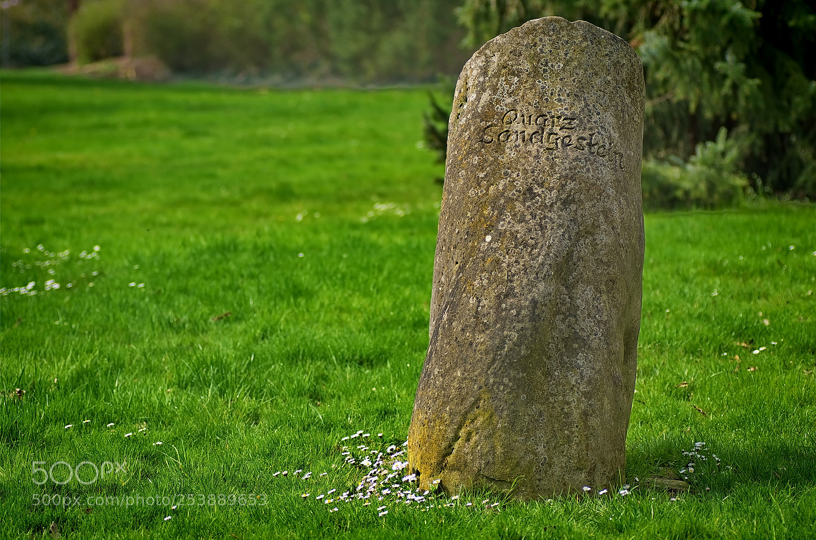 Nikon D7000 sample photo. Stone alone photography