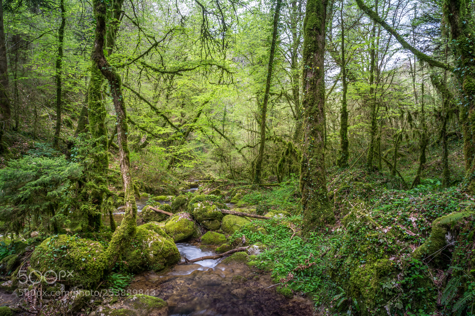 Nikon D7100 sample photo. Vercors petit canyon photography