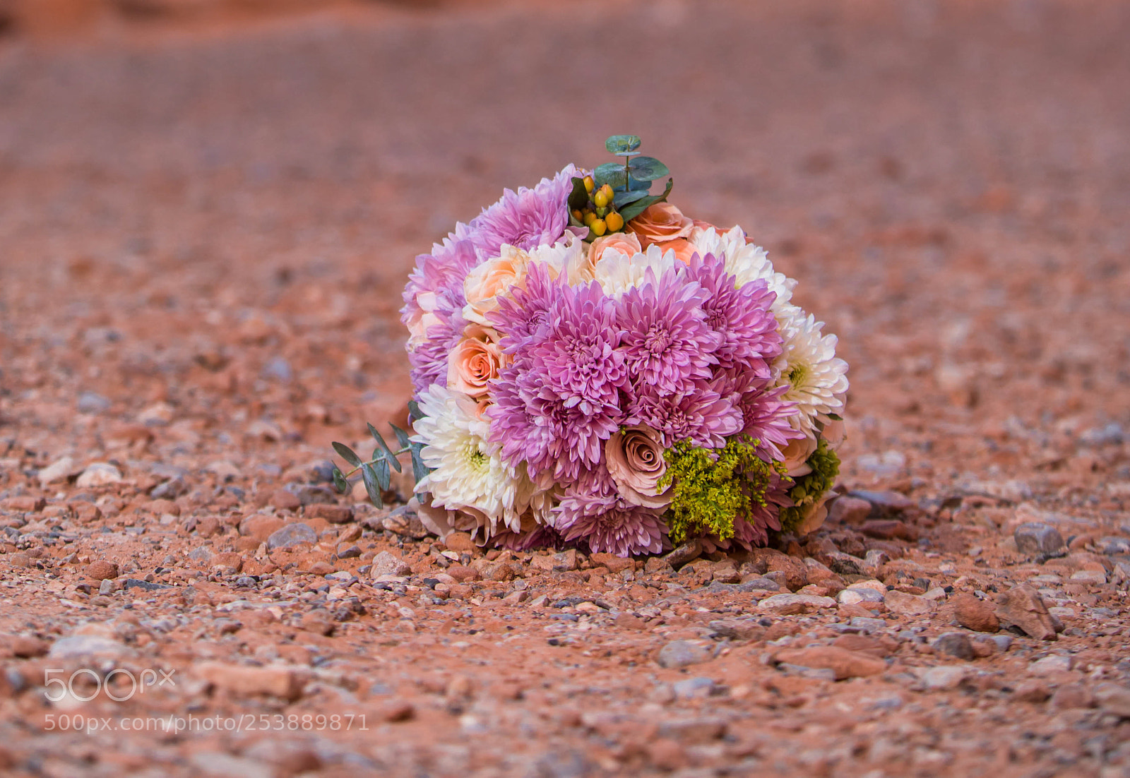 Canon EOS 5D Mark IV sample photo. 3a1a1365-2.jpg photography
