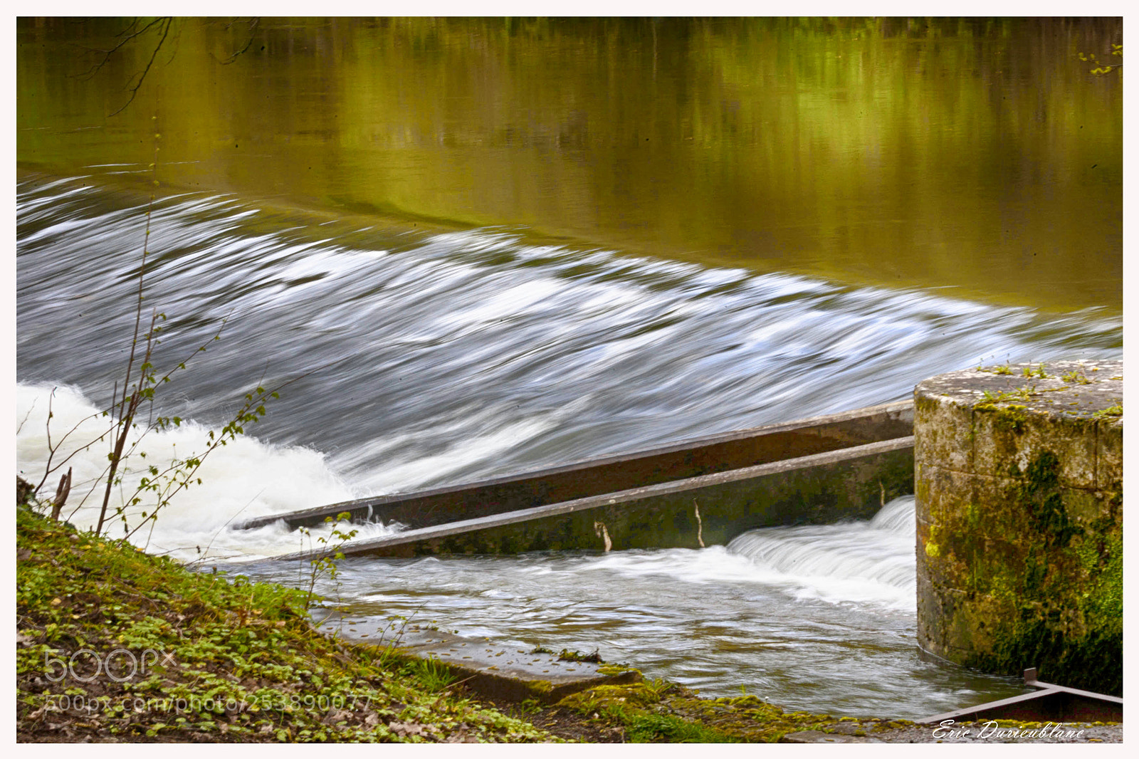 Canon EOS-1D Mark II sample photo. Untitled photography