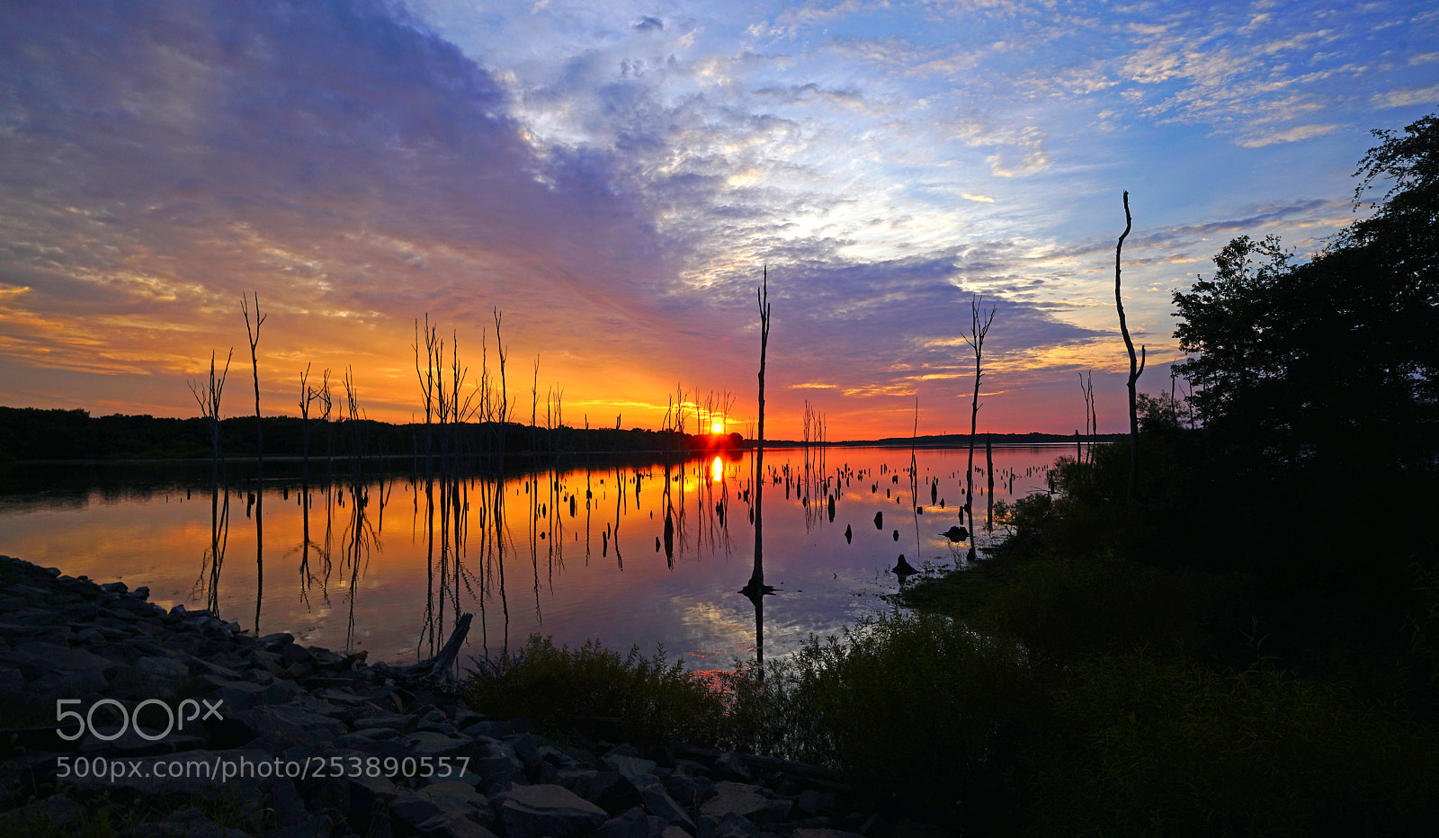 Sony a7R II sample photo. Spotlight at sunrise photography