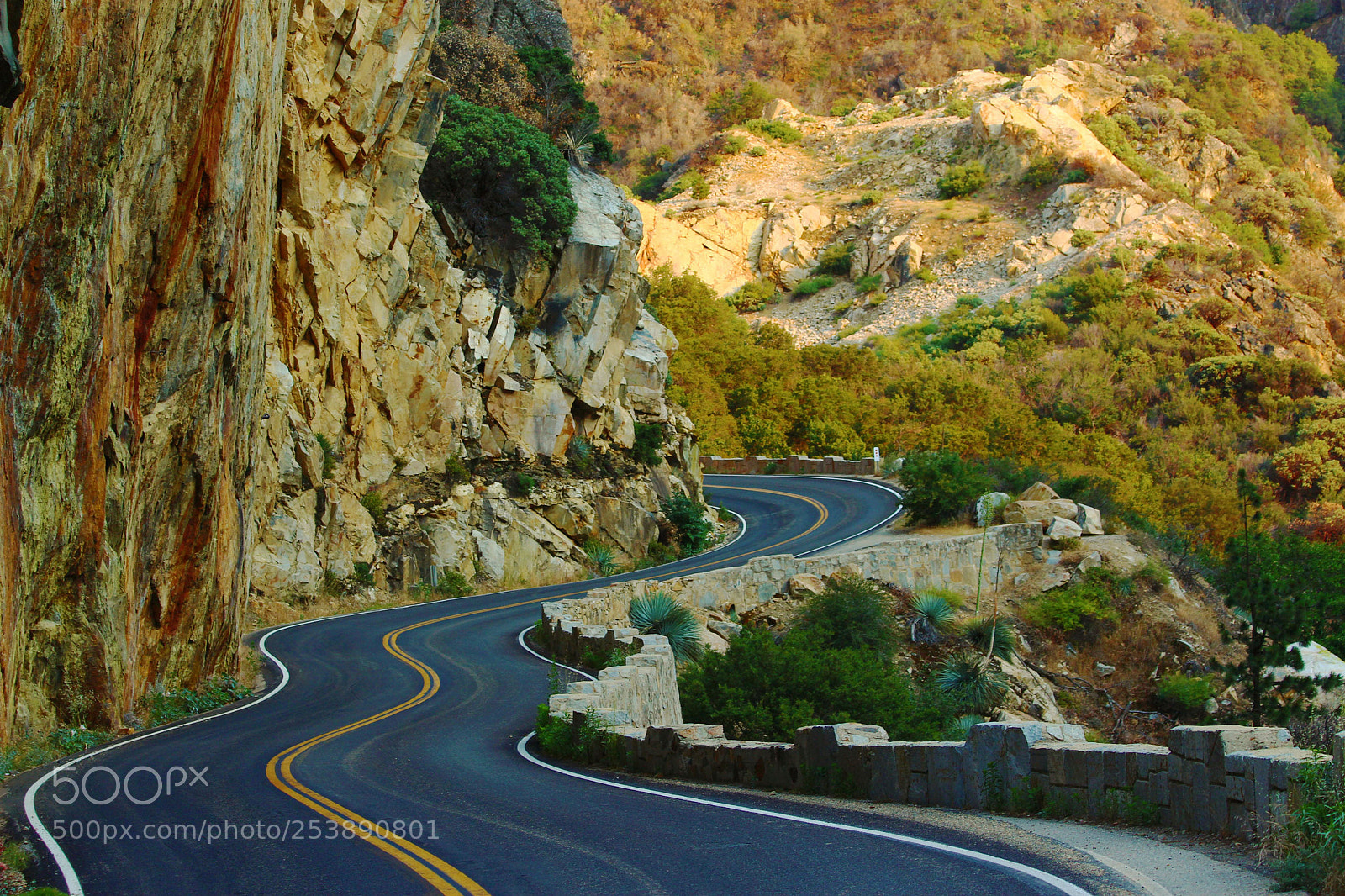 Canon EOS 700D (EOS Rebel T5i / EOS Kiss X7i) sample photo. A road that curves photography