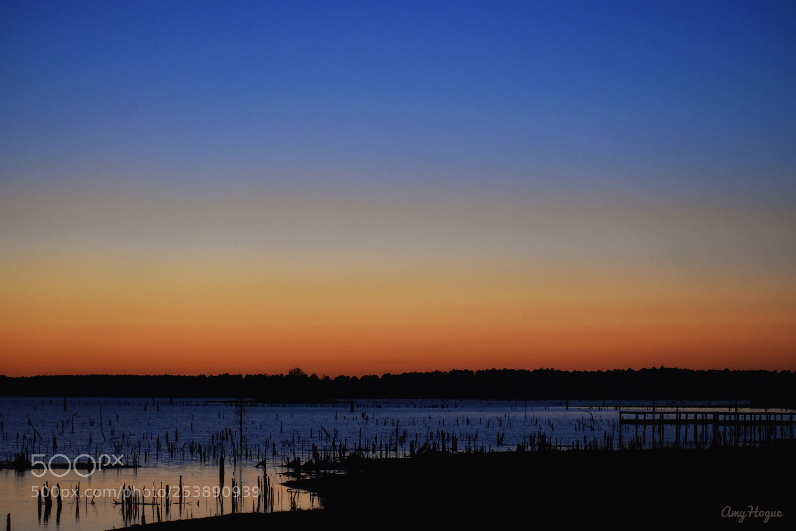 Nikon D3400 sample photo. Last seconds photography