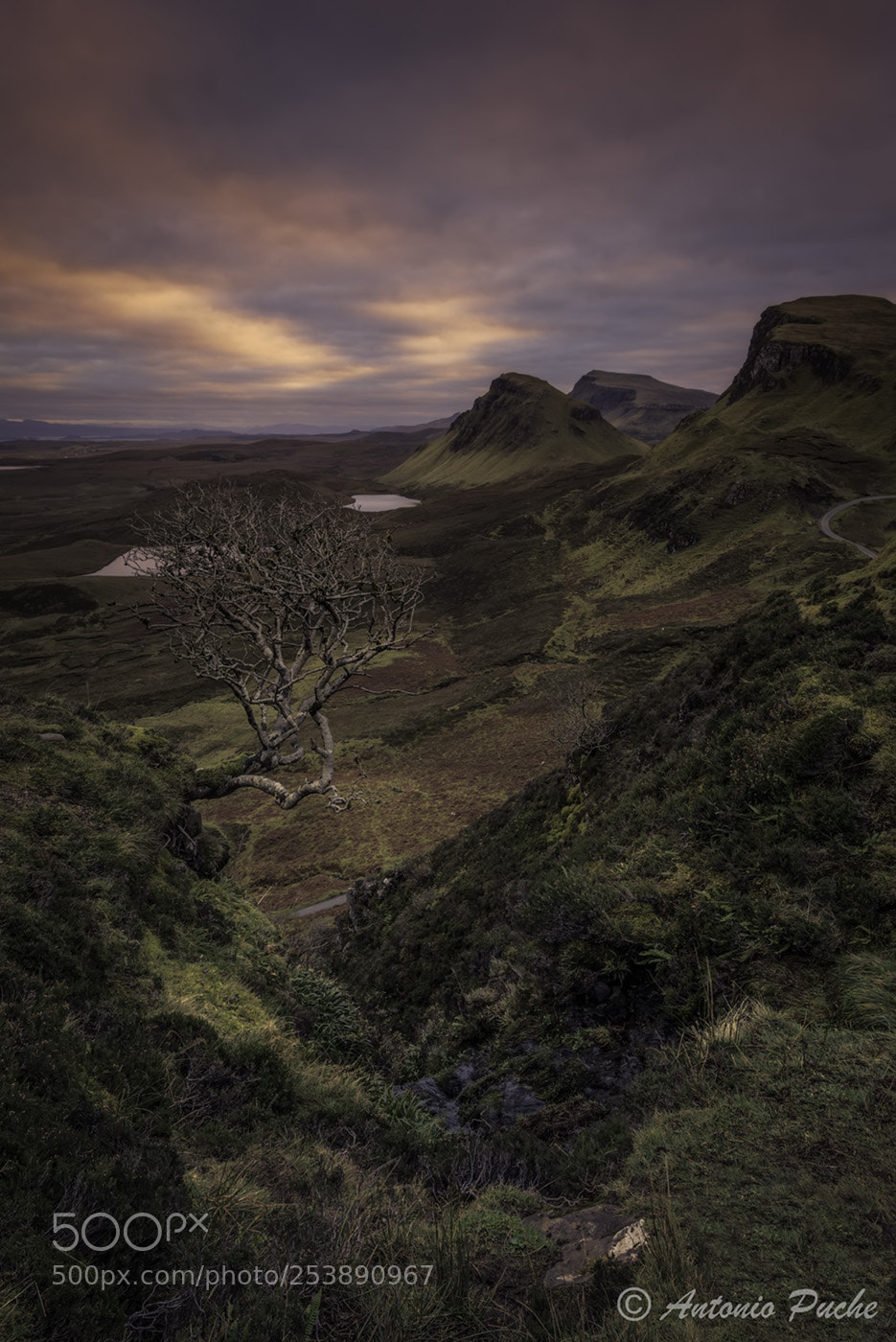 Nikon D810 sample photo. Lights of scotland photography