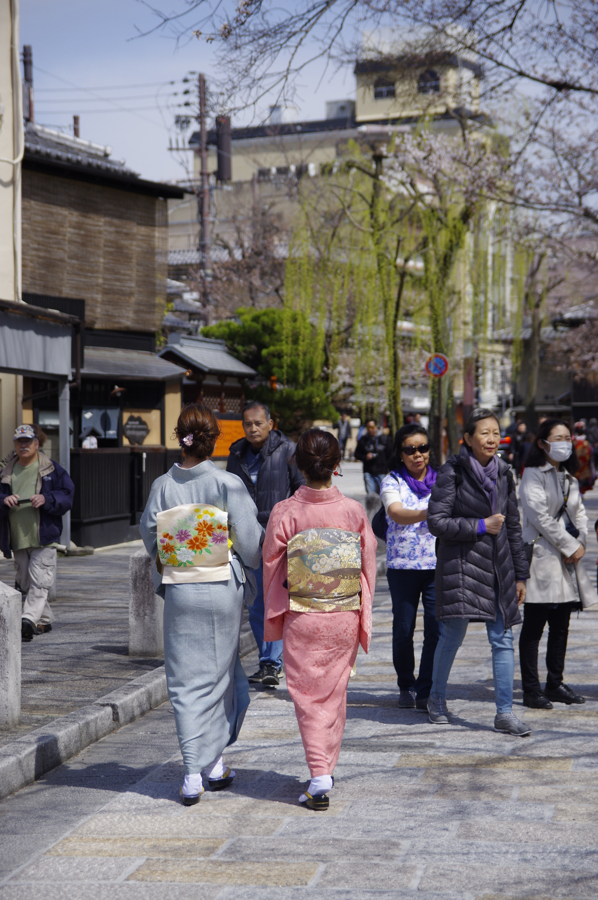 Pentax K-3 II sample photo. Sirakawa, kyoto photography