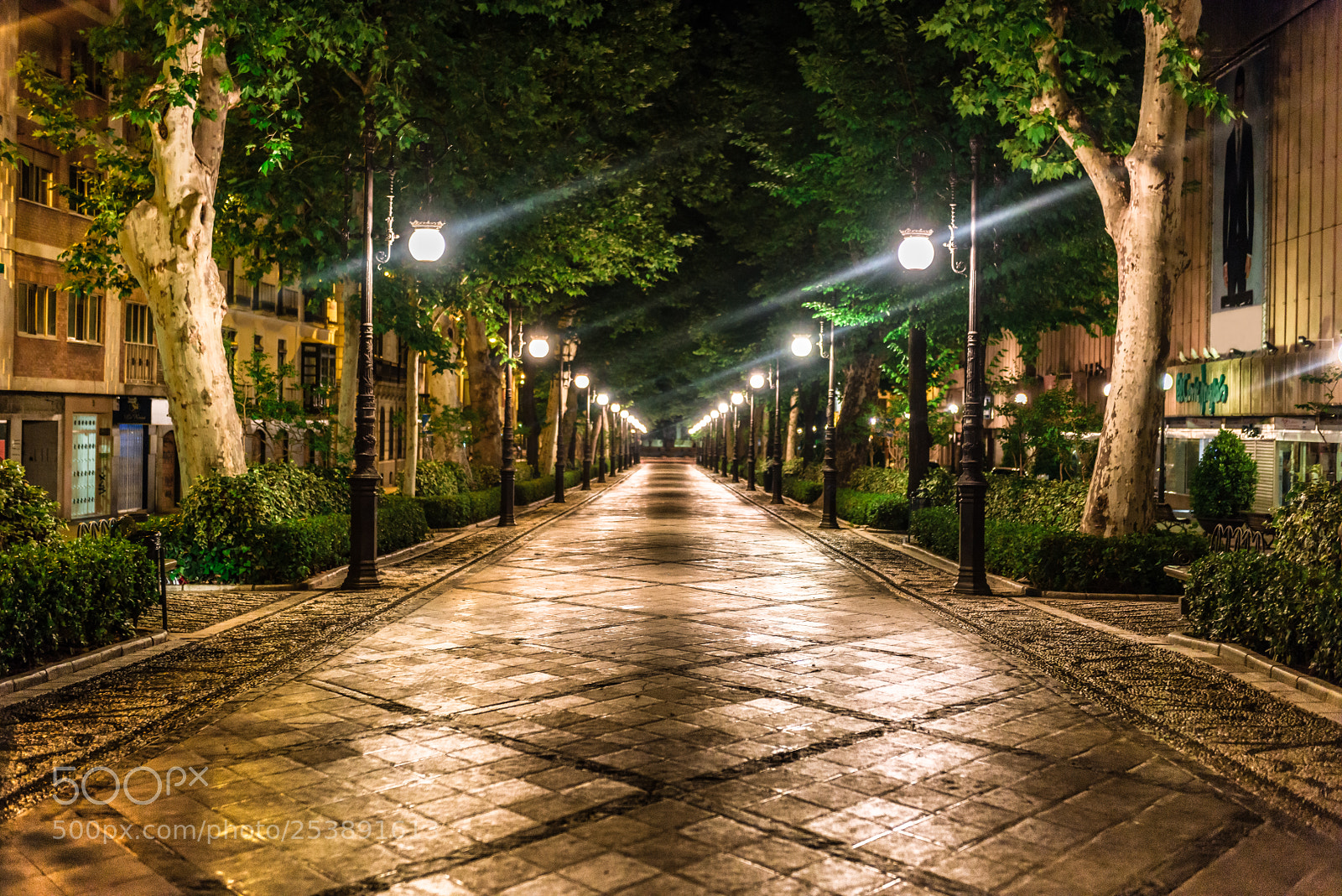 Nikon D810 sample photo. Granada spain walkway illuminated photography