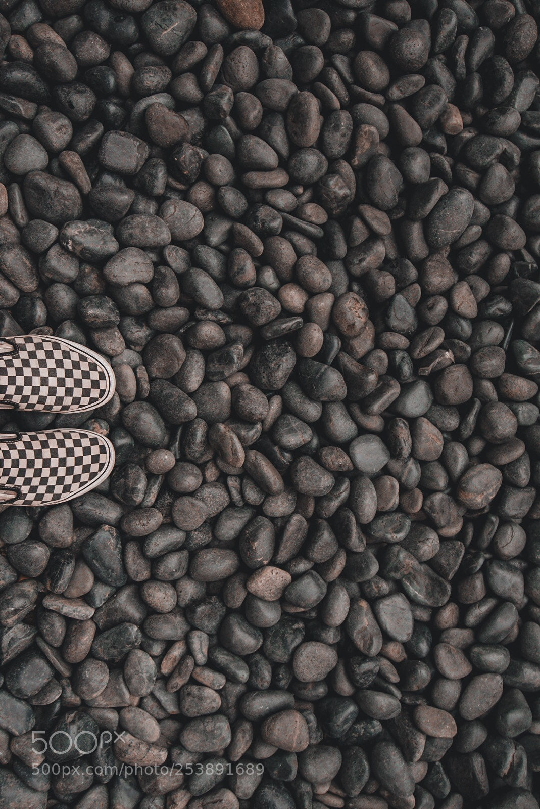 Sony a6000 sample photo. Dark, strong and proud photography