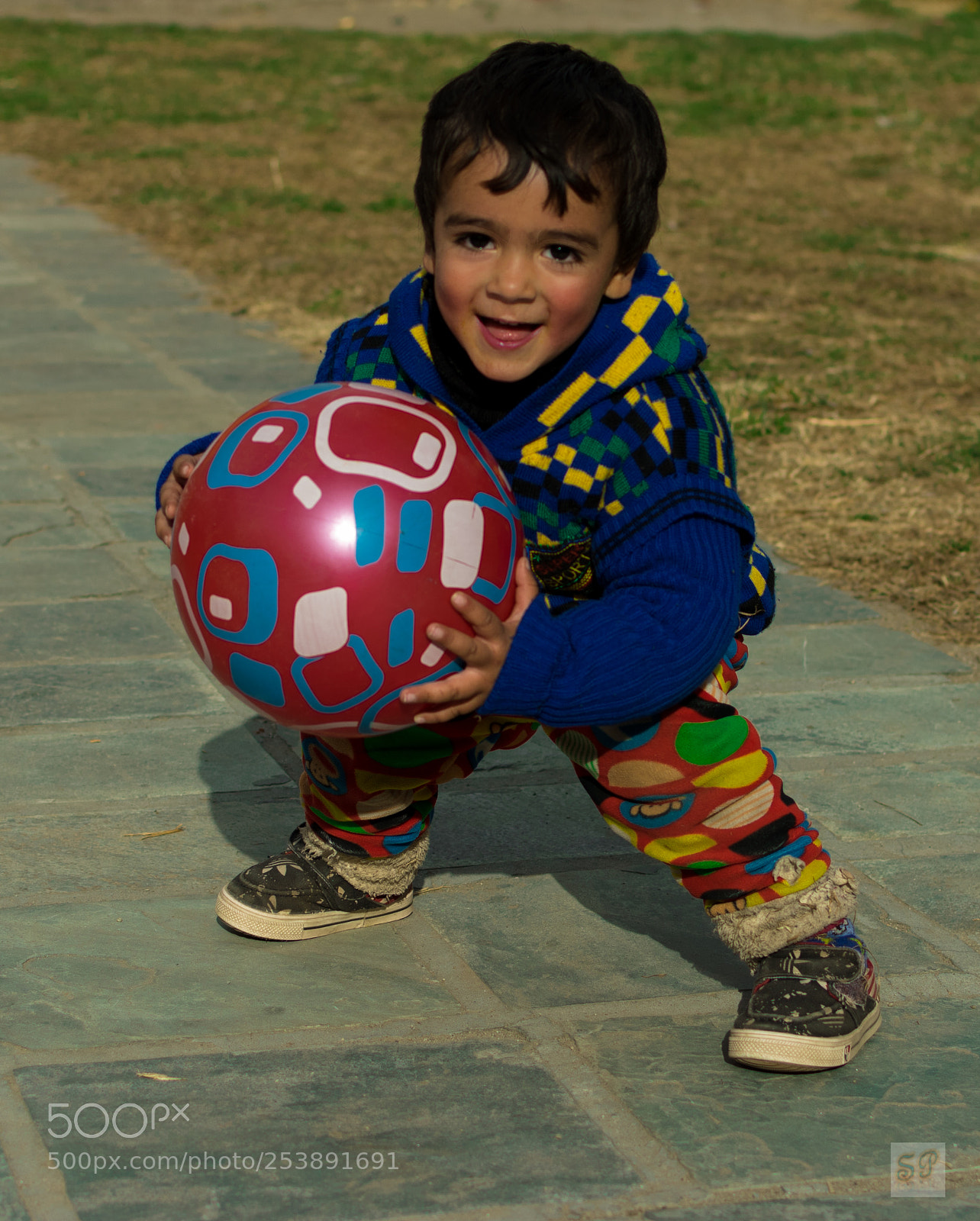 Nikon D5300 sample photo. Dsc photography