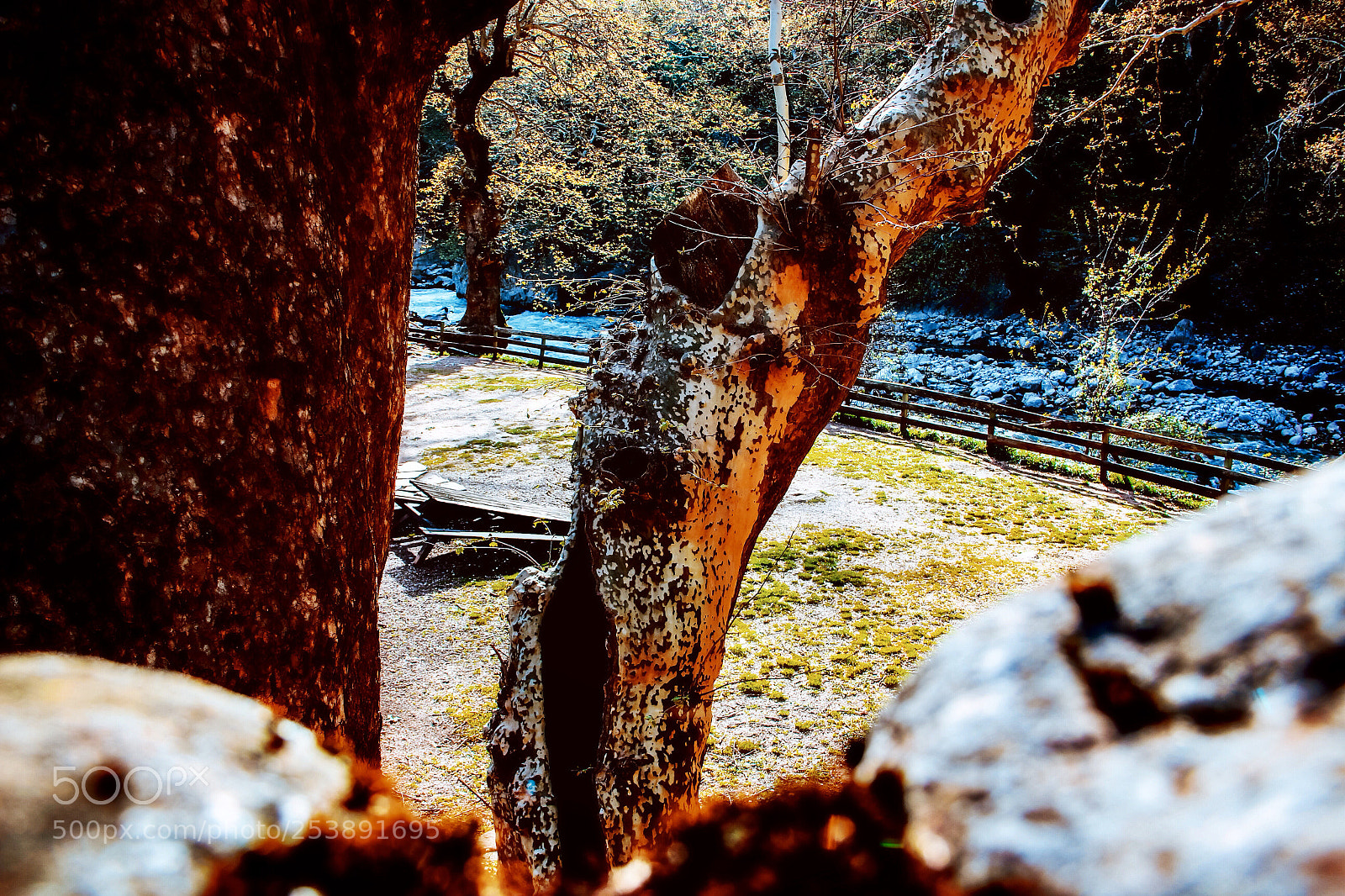 Canon EOS 700D (EOS Rebel T5i / EOS Kiss X7i) sample photo. Nature  photography