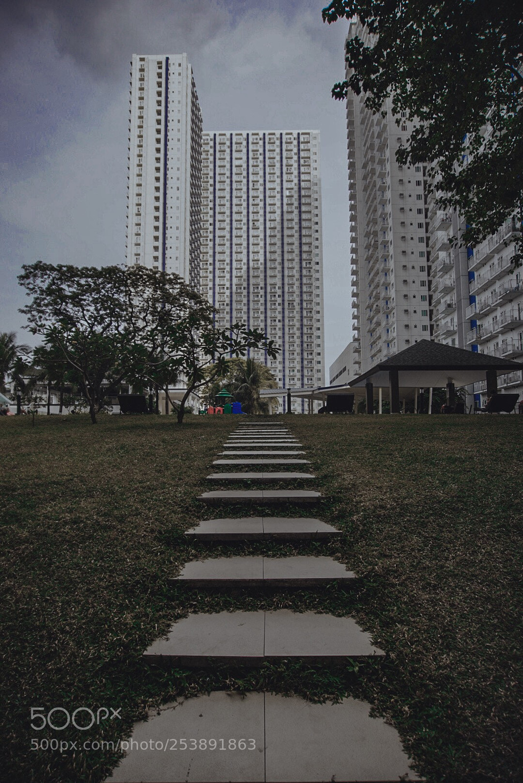 Sony a6000 sample photo. Come home photography