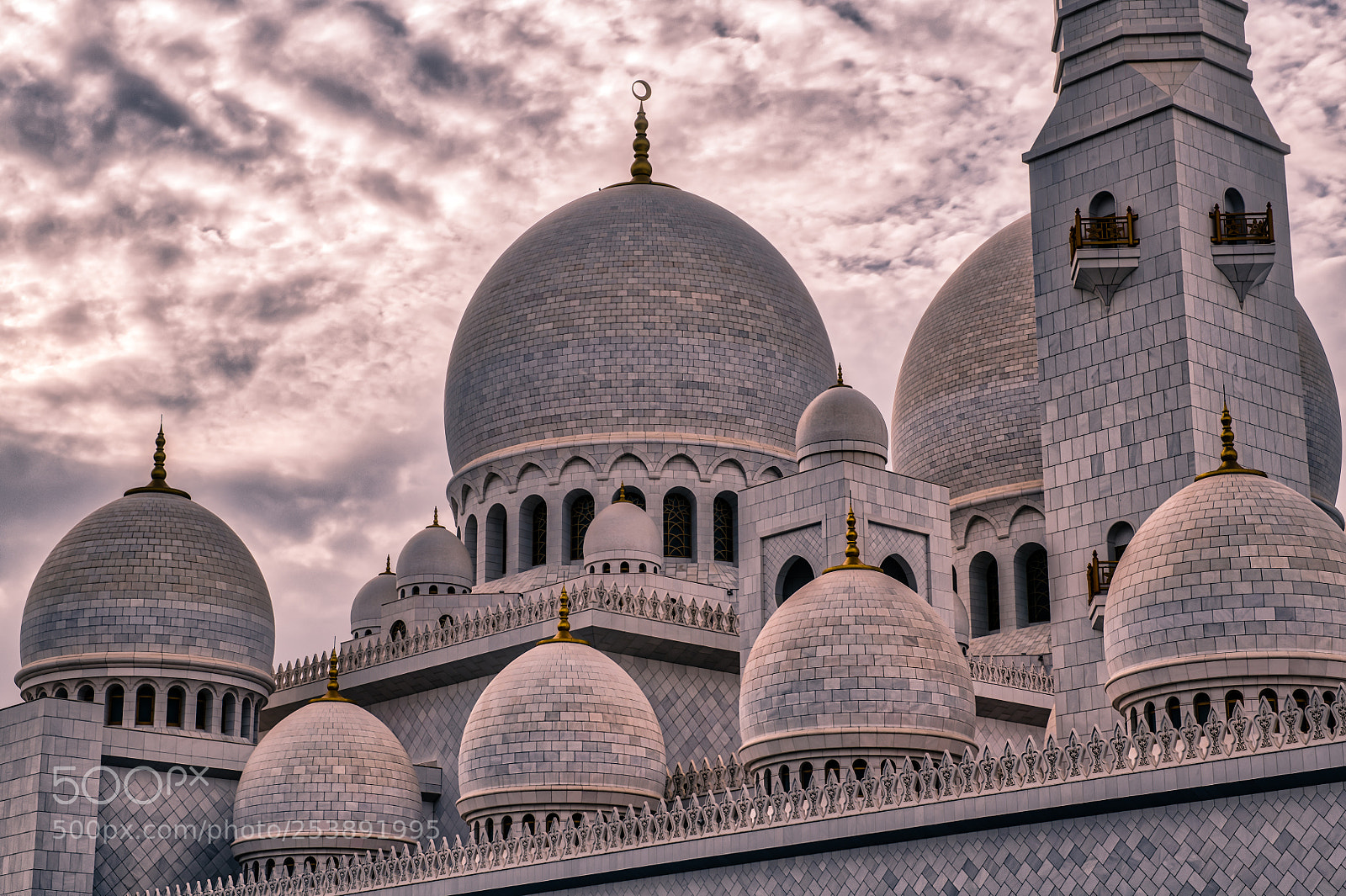Nikon D850 sample photo. Grand mosque domes closeup photography