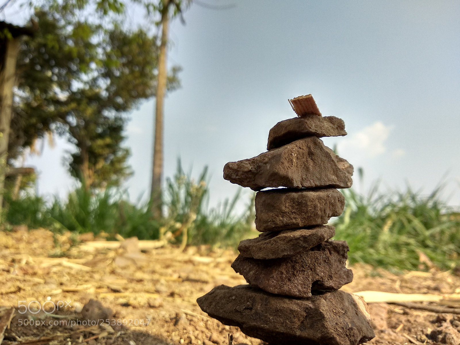 Xiaomi Redmi Note 5 sample photo. Untitled photography