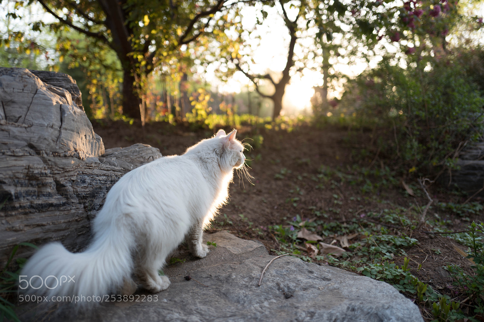 Leica Q (Typ 116) sample photo. L photography