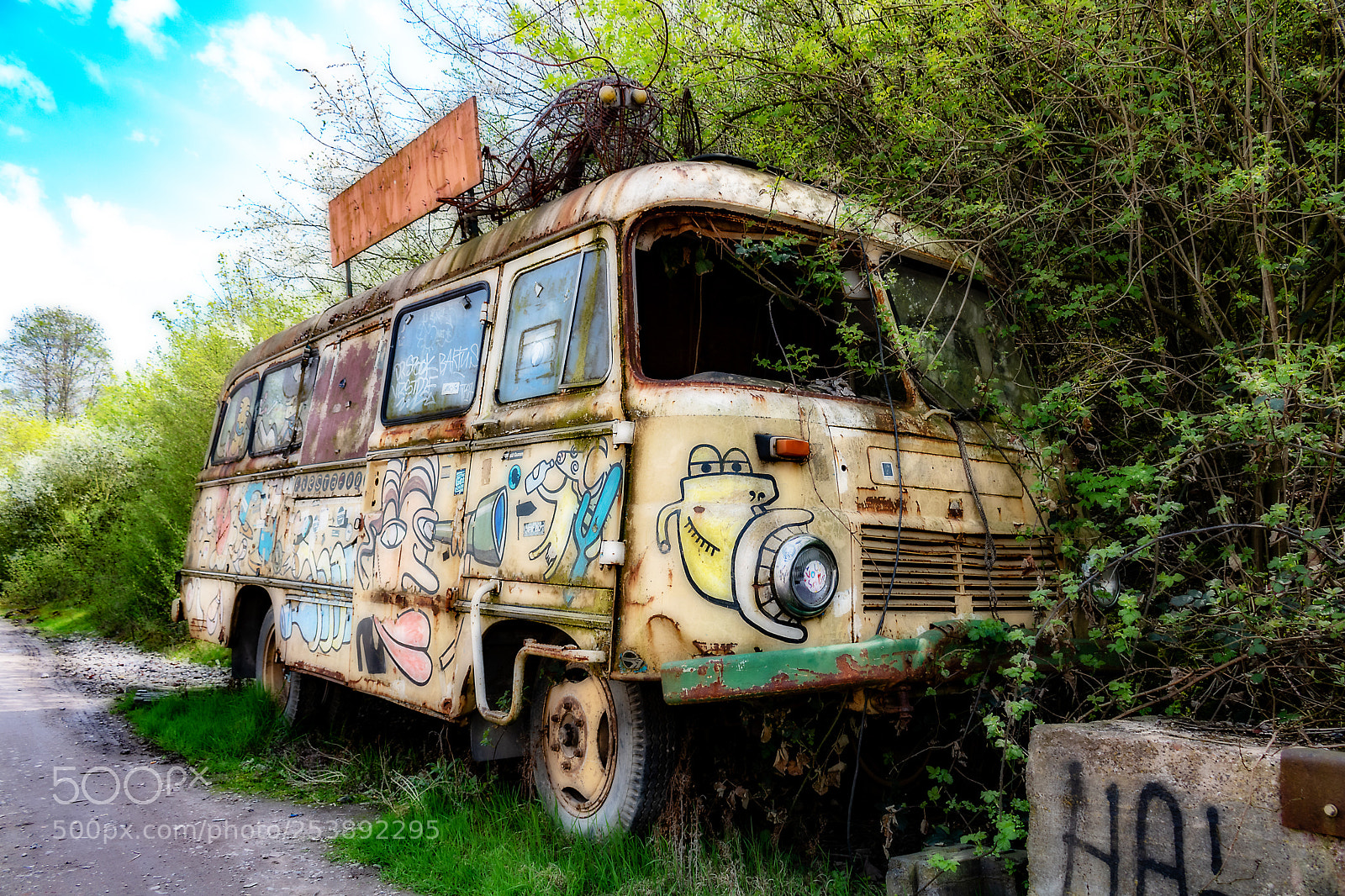 Canon EOS 750D (EOS Rebel T6i / EOS Kiss X8i) sample photo. Old van photography