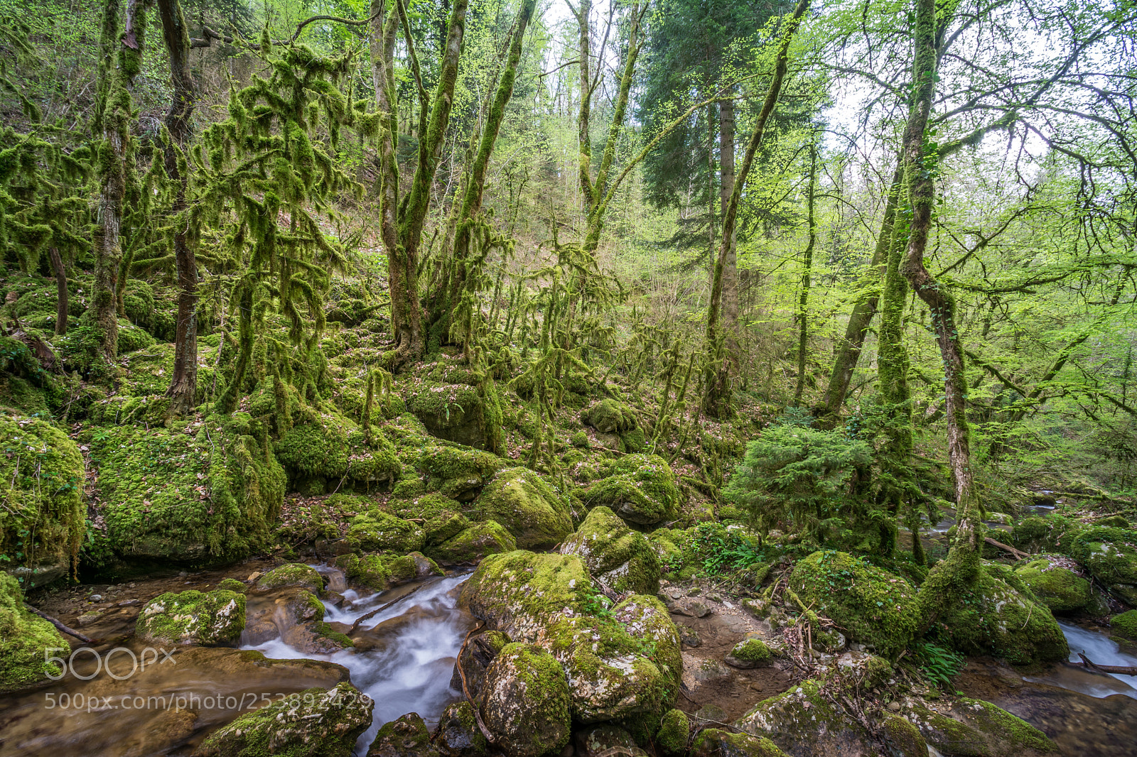 Nikon D7100 sample photo. Vercors petit canyon photography