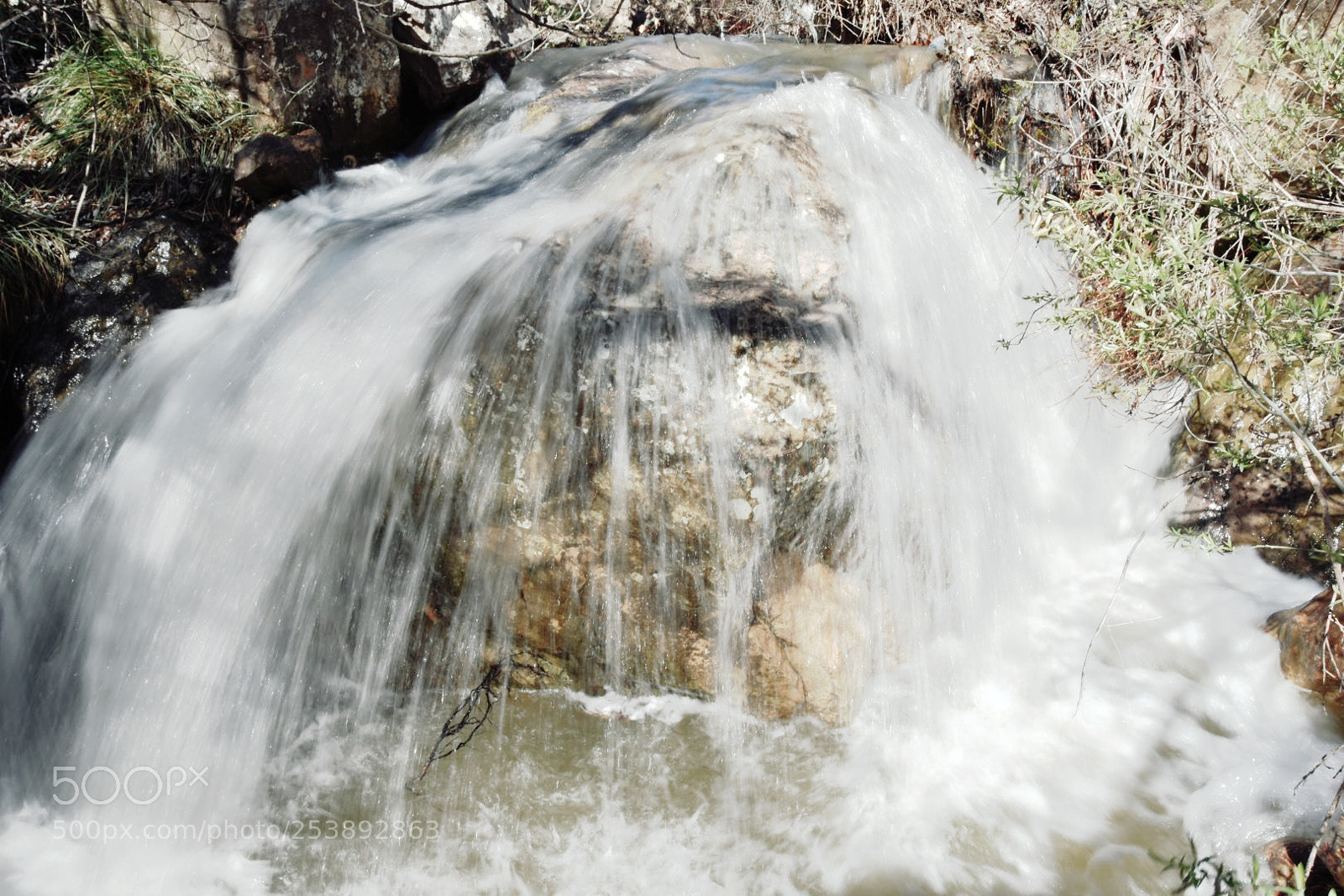 Nikon D3400 sample photo. Untitled photography
