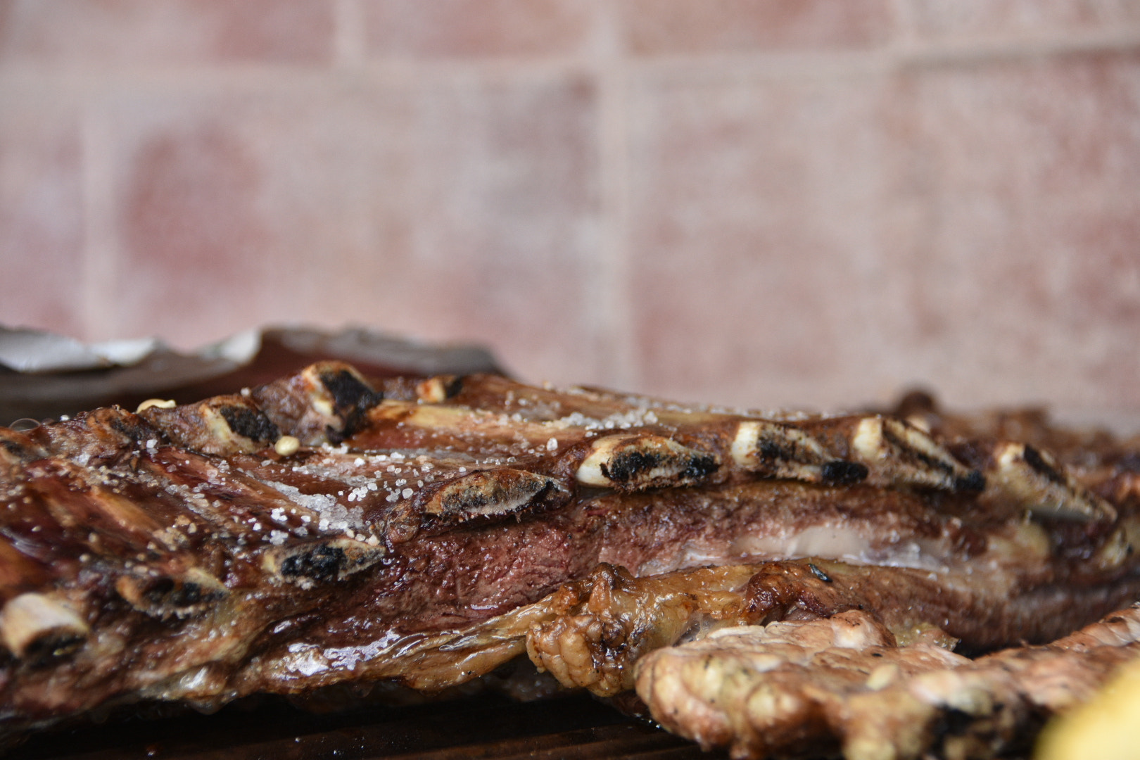 Nikon D7200 sample photo. Costillar photography