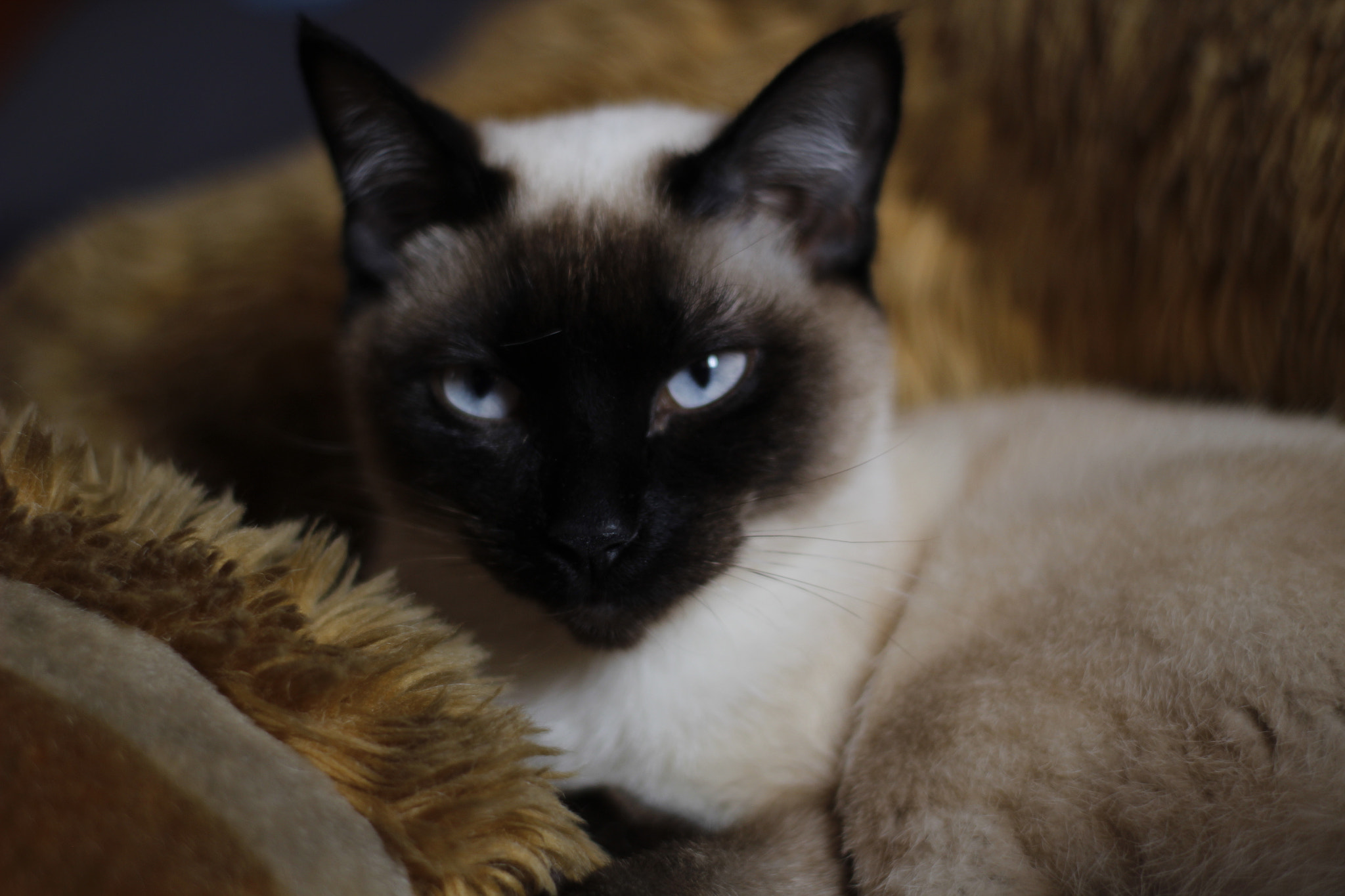 Canon 50mm sample photo