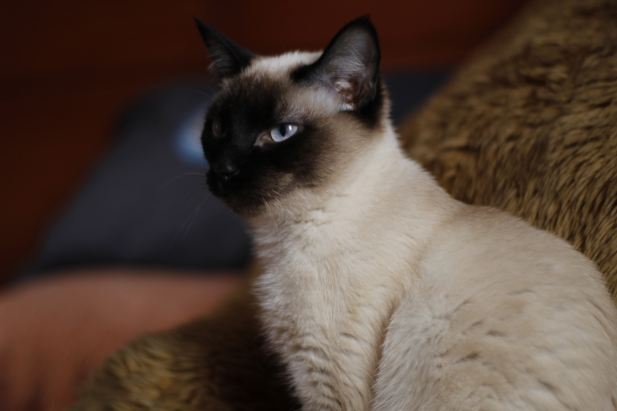 Canon 50mm sample photo