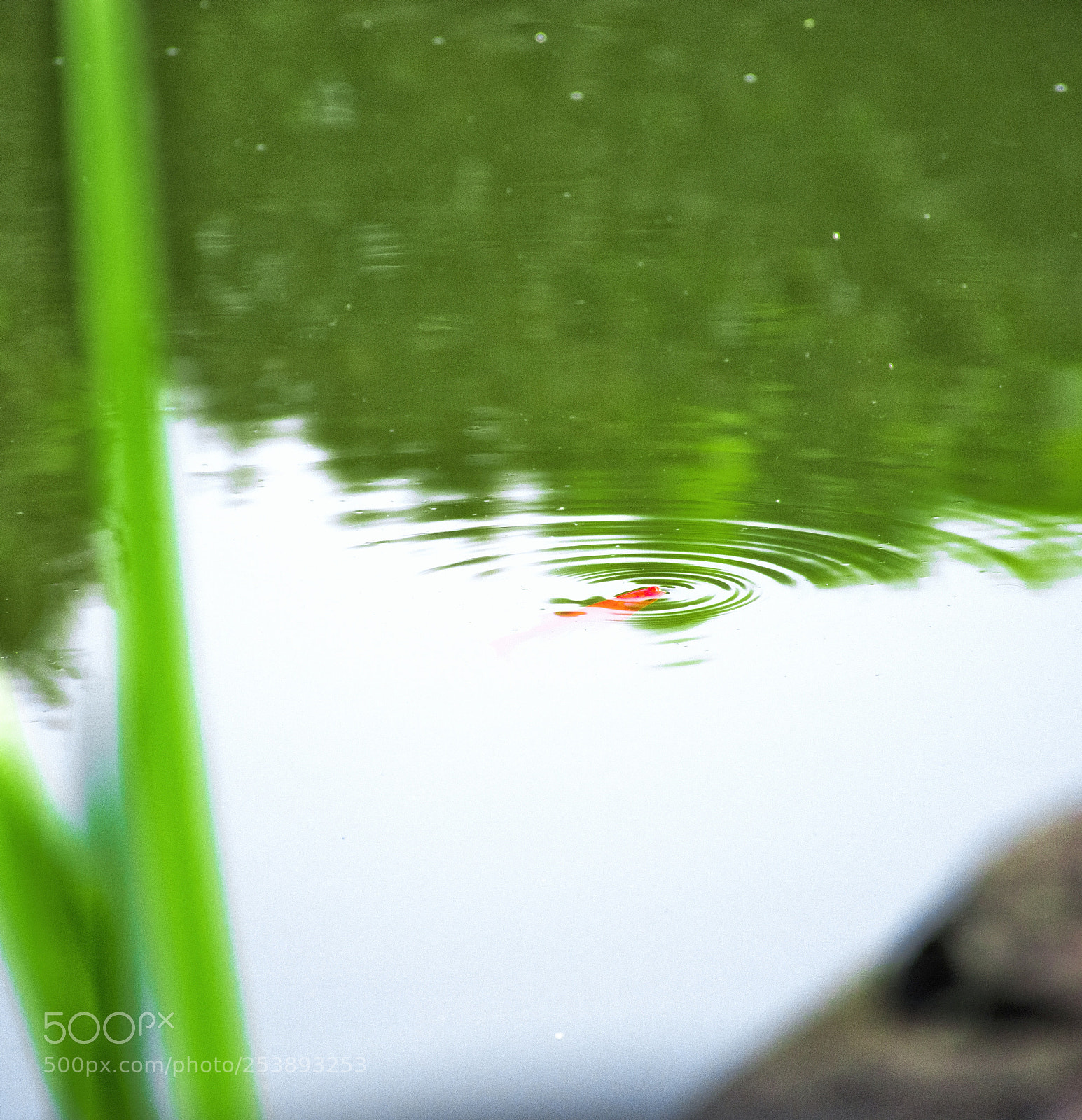 Nikon D7200 sample photo. Untitled photography
