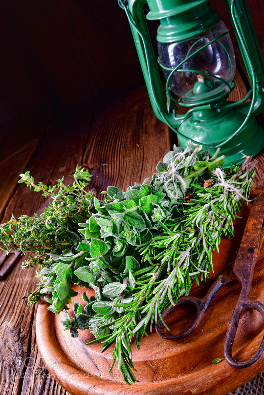 Nikon D810 sample photo. Herbal collection of thyme,oregano photography