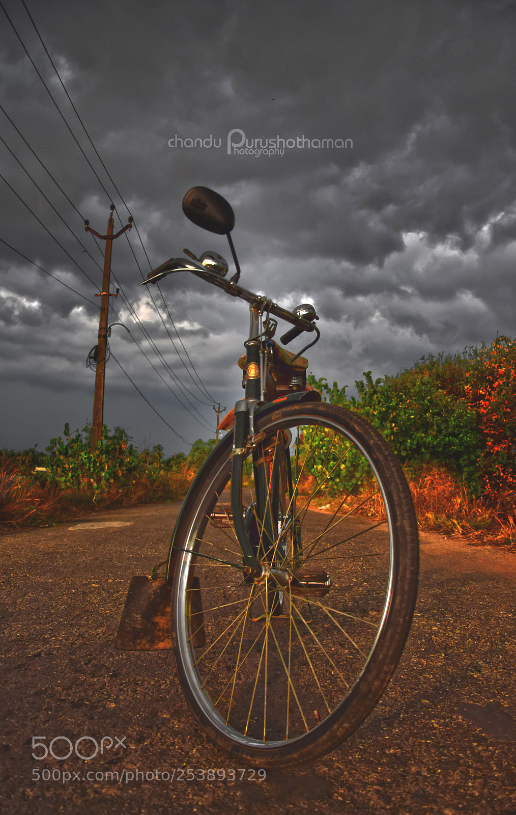 Nikon D5300 sample photo. Bicycle photography