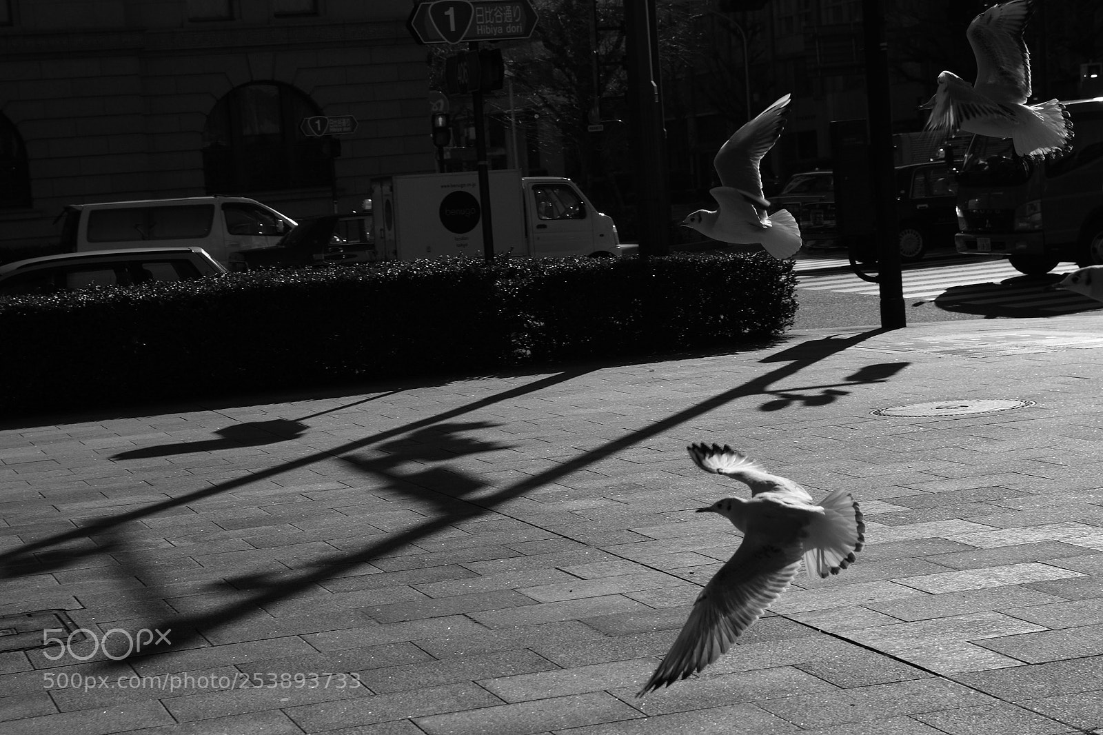 Canon EOS 40D sample photo. Tokyostreet photography
