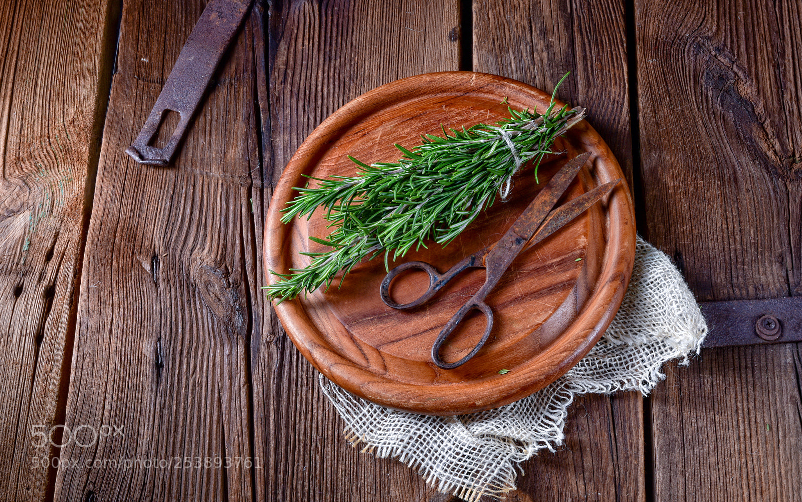 Nikon D810 sample photo. Rosmarin (rosmarinus officinalis) photography