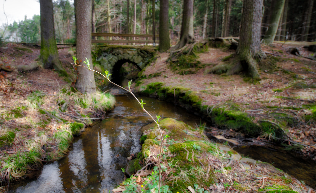 bridge von dirk derbaum auf 500px.com