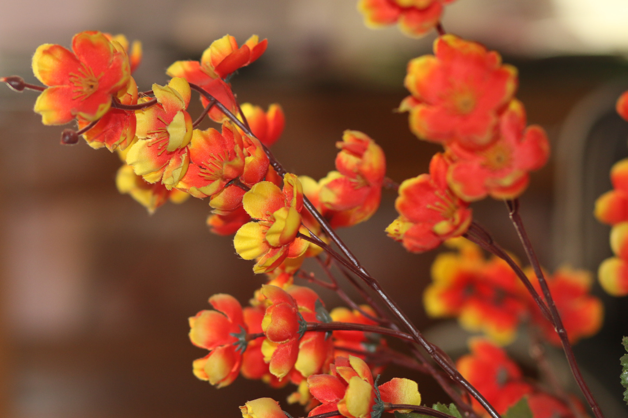 Canon EOS 70D + Canon EF 85mm F1.8 USM sample photo. Artificial flowers photography