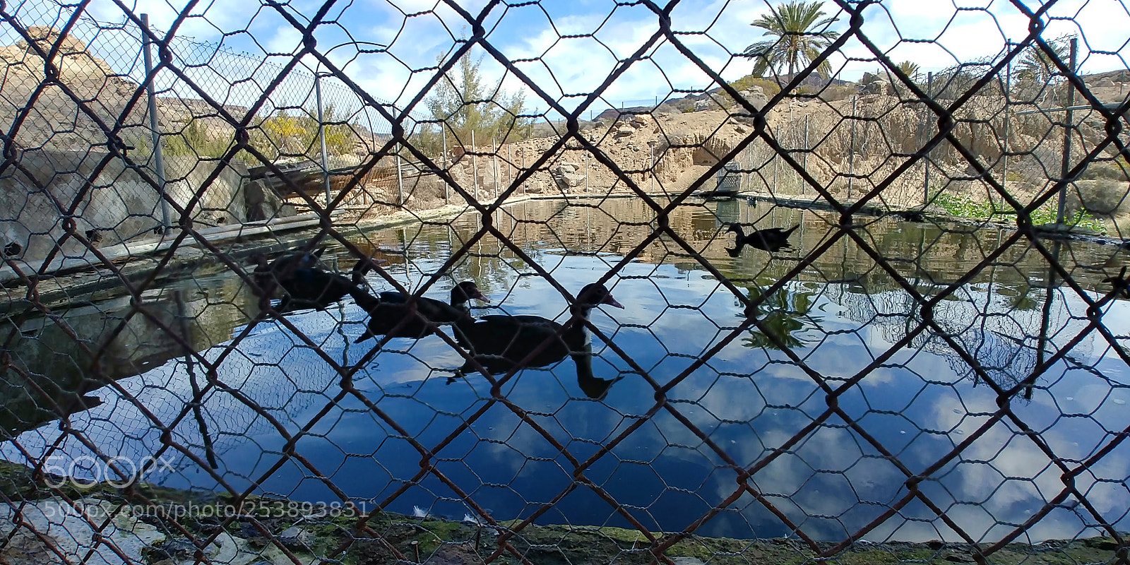 LG G6 sample photo. Cua cua photography