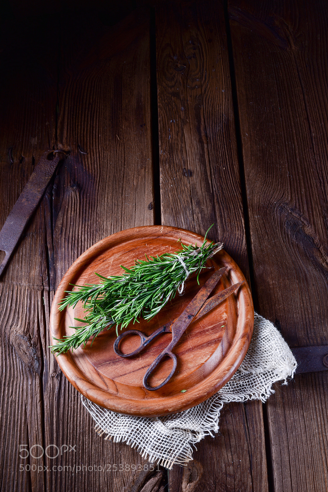 Nikon D810 sample photo. Rosmarin (rosmarinus officinalis) photography