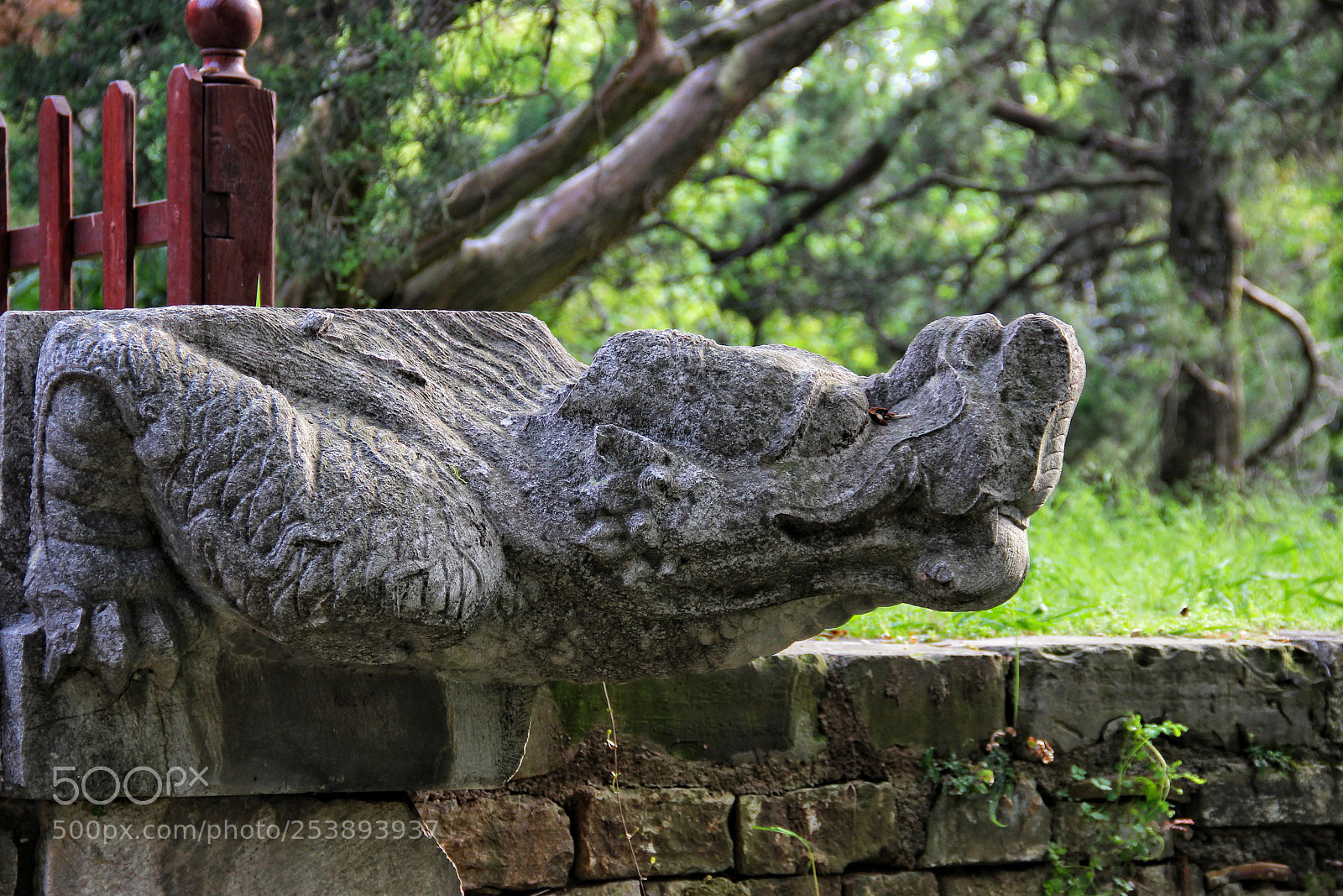 Canon EOS 600D (Rebel EOS T3i / EOS Kiss X5) sample photo. 闻到了春天 photography