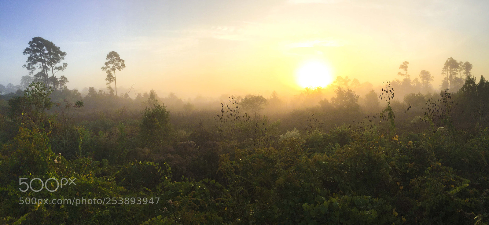 Apple iPod touch sample photo. Florida sunrise photography