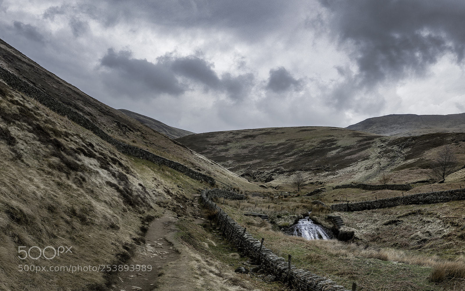 Canon EOS 5D Mark II sample photo. William clough photography