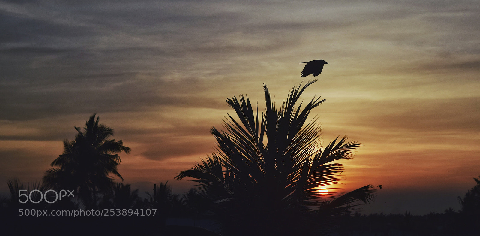 Nikon D3300 sample photo. Dawn photography