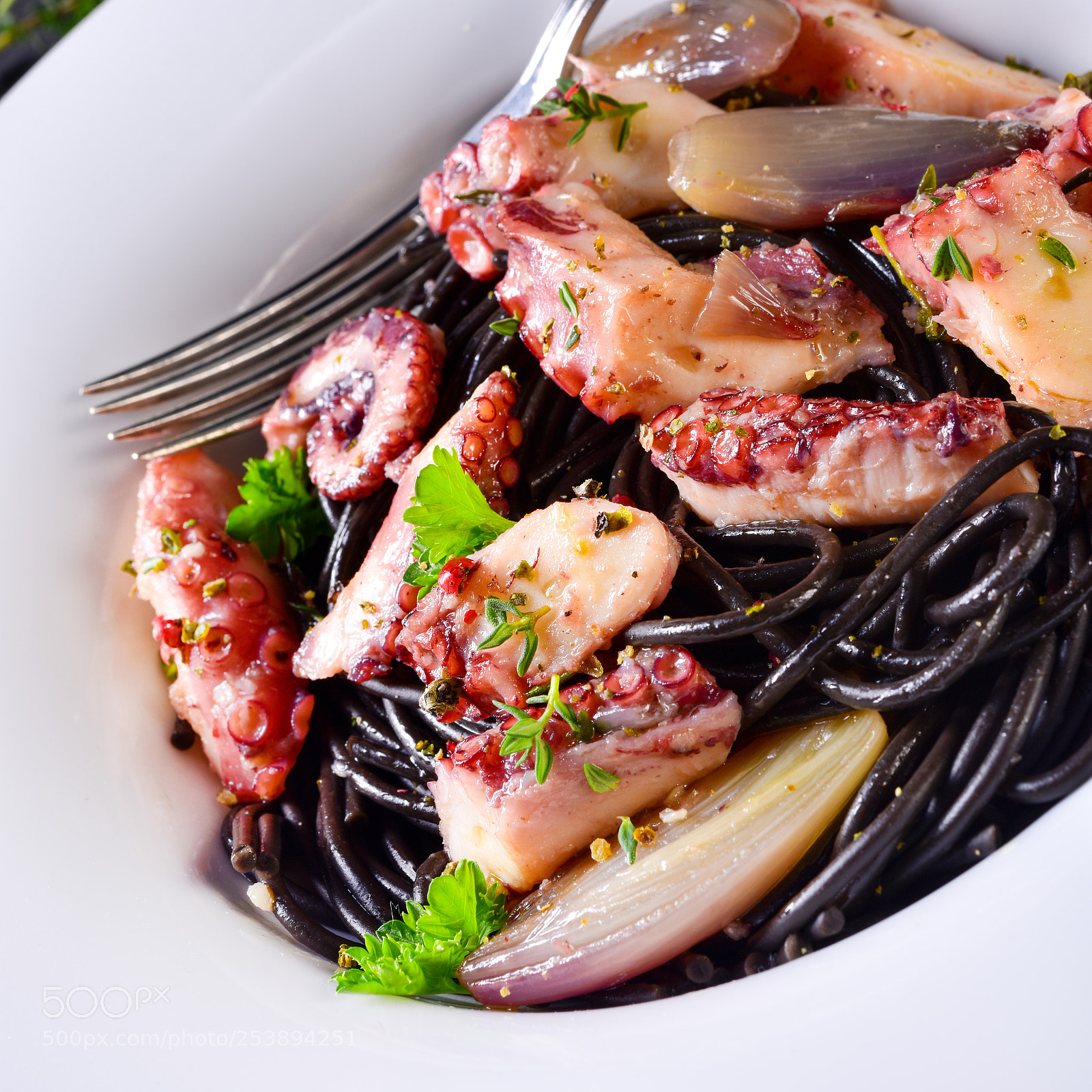 Nikon D810 sample photo. Octopus with black spaghetti photography
