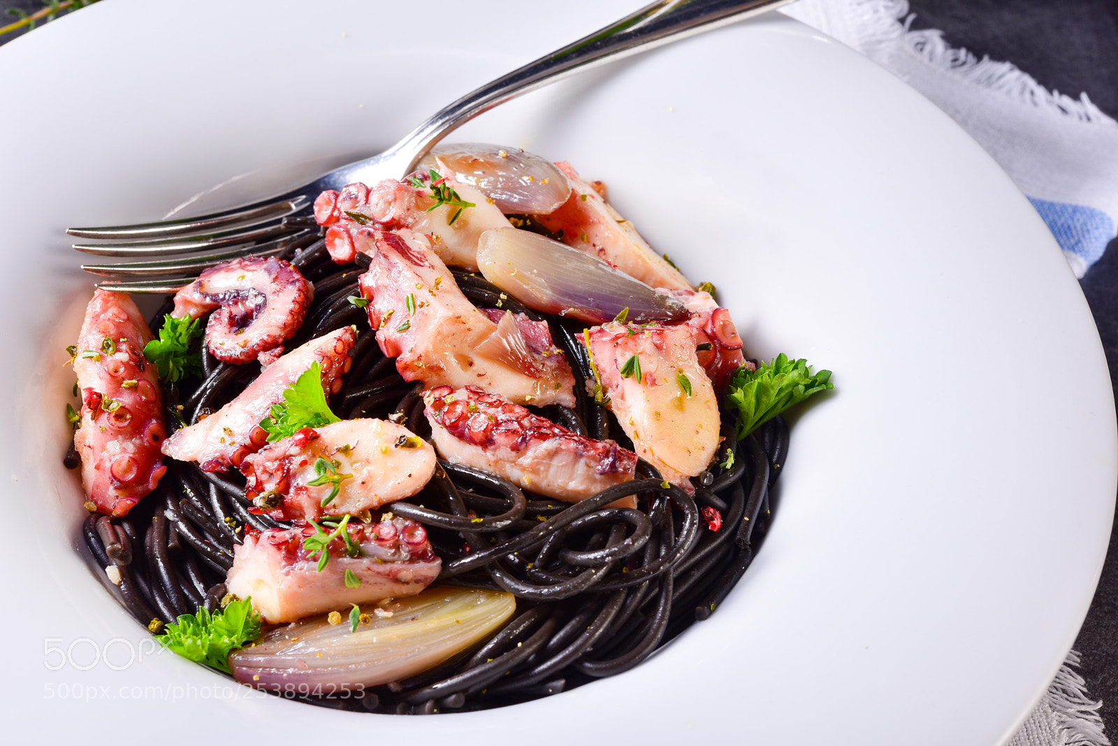Nikon D810 sample photo. Octopus with black spaghetti photography