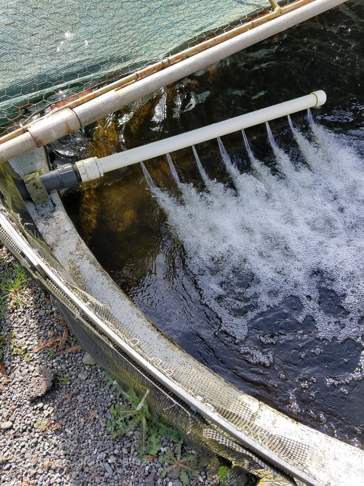 Samsung Galaxy S7 sample photo. Motion photography