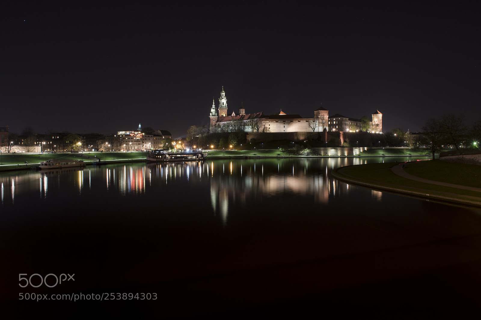 Nikon D850 sample photo. Krak w - wawel photography