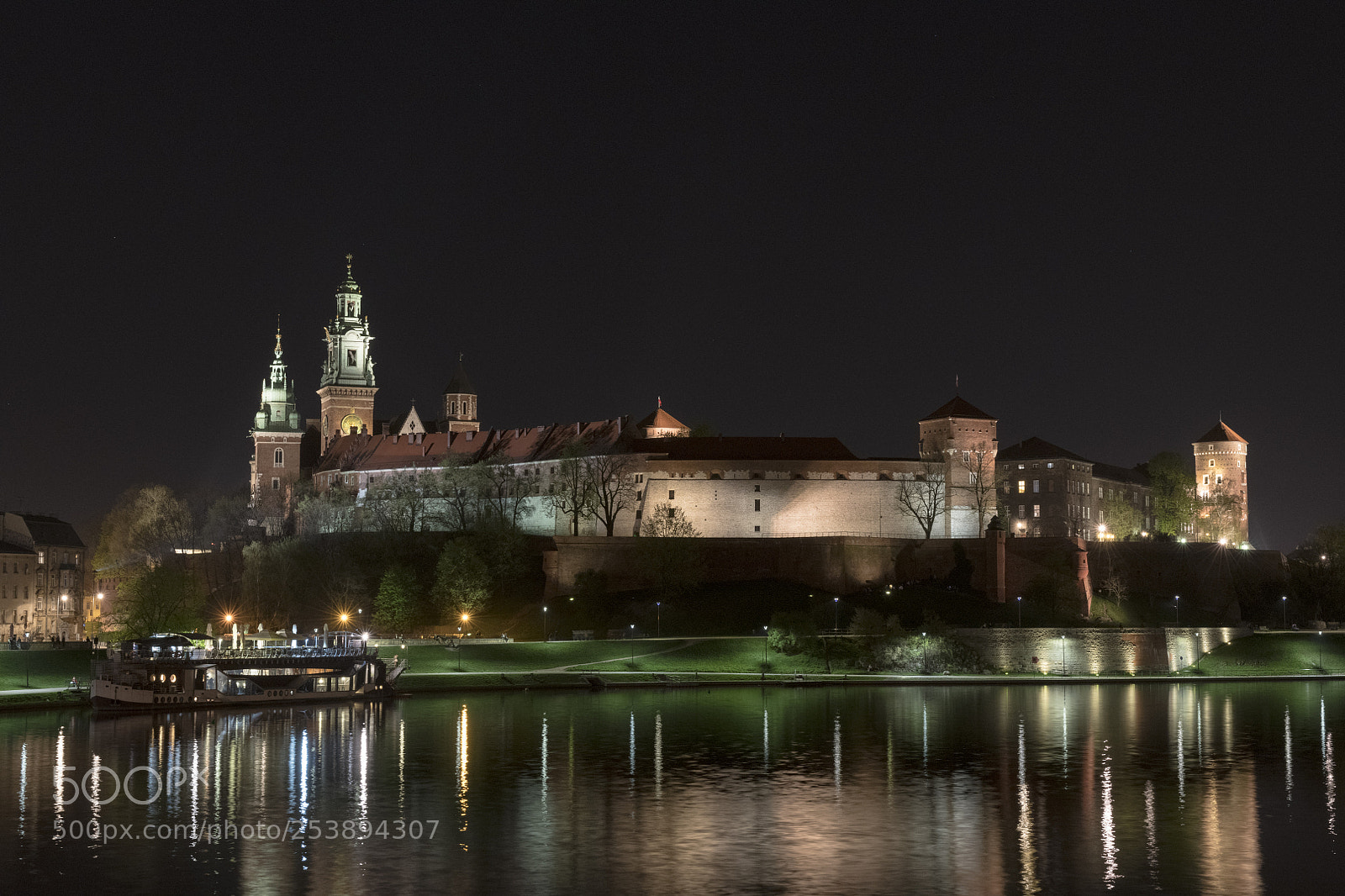Nikon D850 sample photo. Krak w - wawel photography
