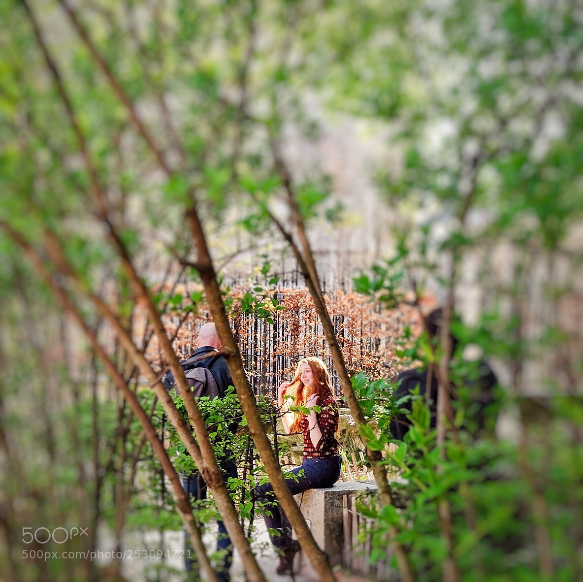 Fujifilm X-T1 sample photo. Untitled photography