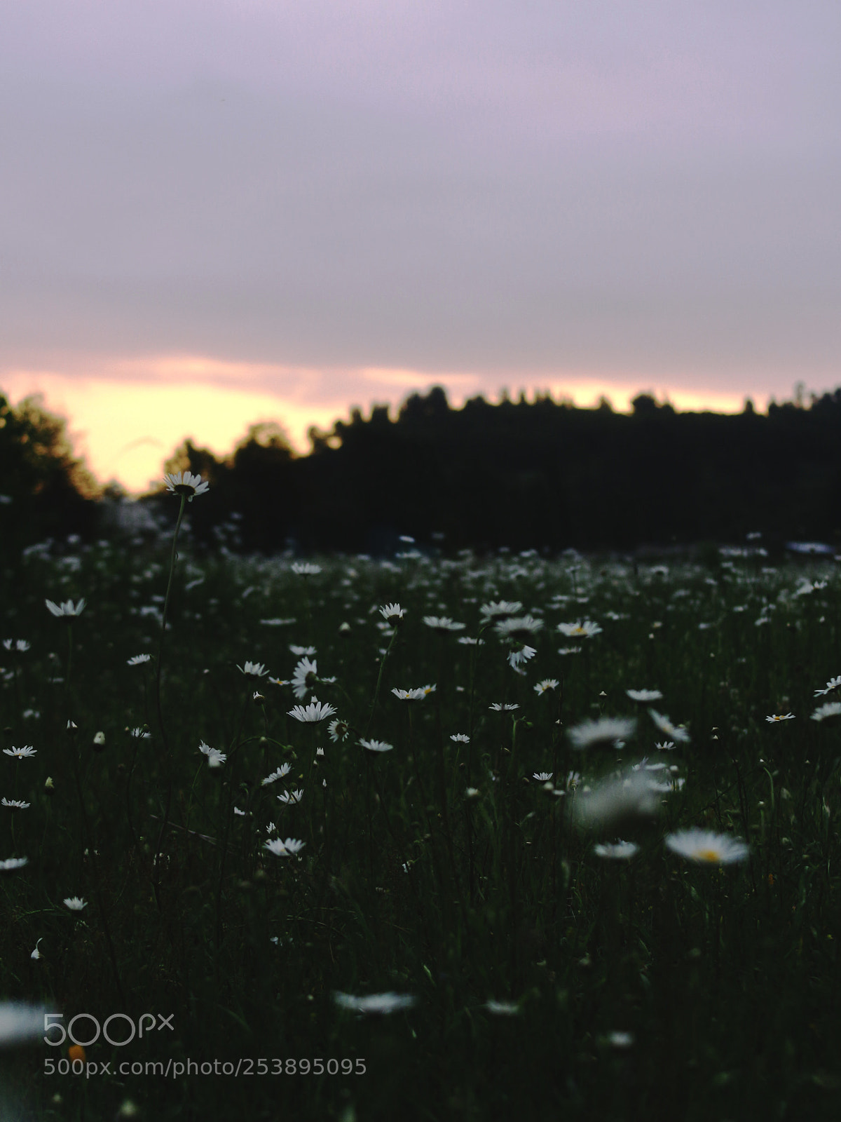 Canon EOS 700D (EOS Rebel T5i / EOS Kiss X7i) sample photo. Untitled photography